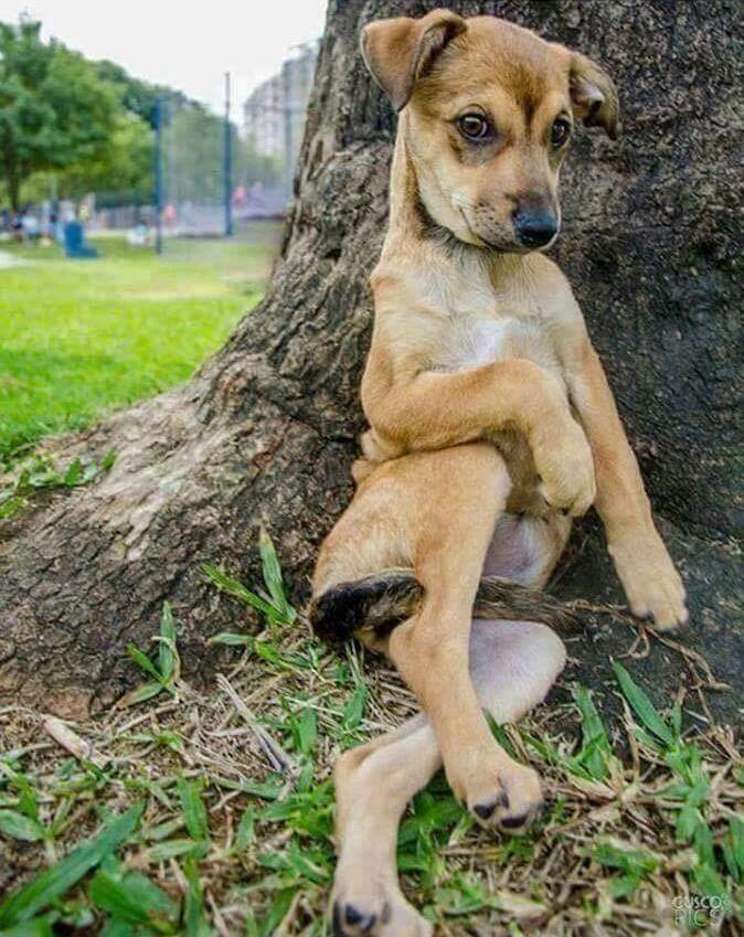 Have a nice day, guys.-英区墙