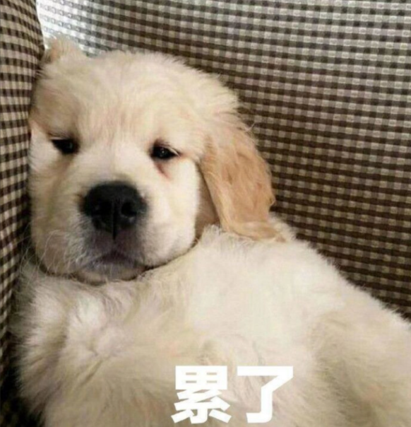 有没有人用过这个Payenjoynow，充王者点券靠谱吗？-英区墙